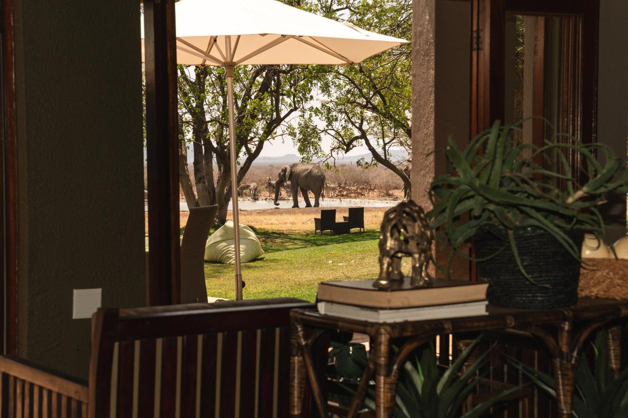 Last Word Madikwe Madikwe Game Reserve Zewnętrze zdjęcie