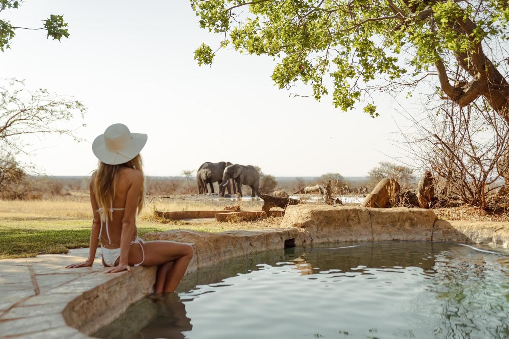 Last Word Madikwe Madikwe Game Reserve Zewnętrze zdjęcie