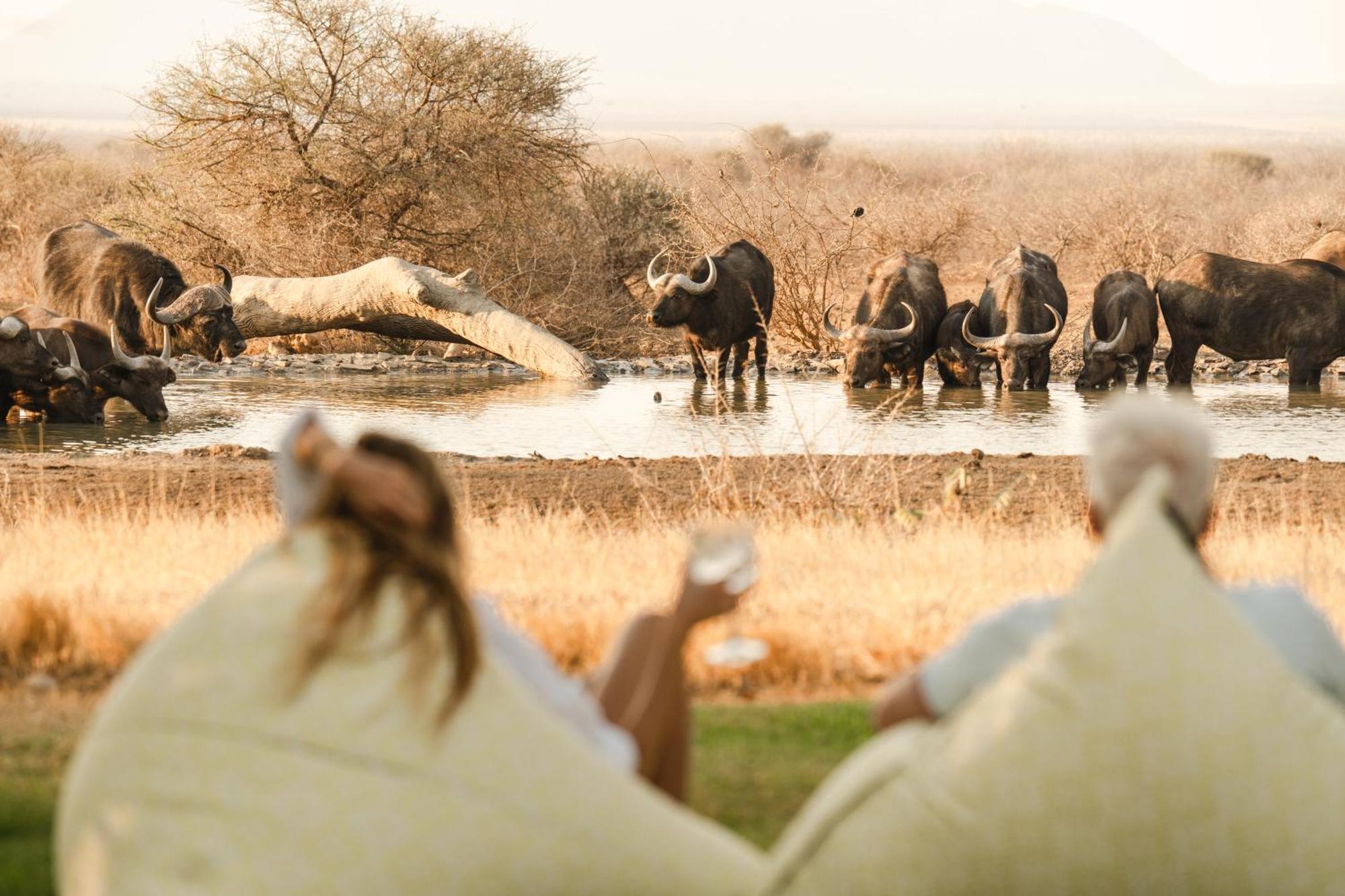 Last Word Madikwe Madikwe Game Reserve Zewnętrze zdjęcie
