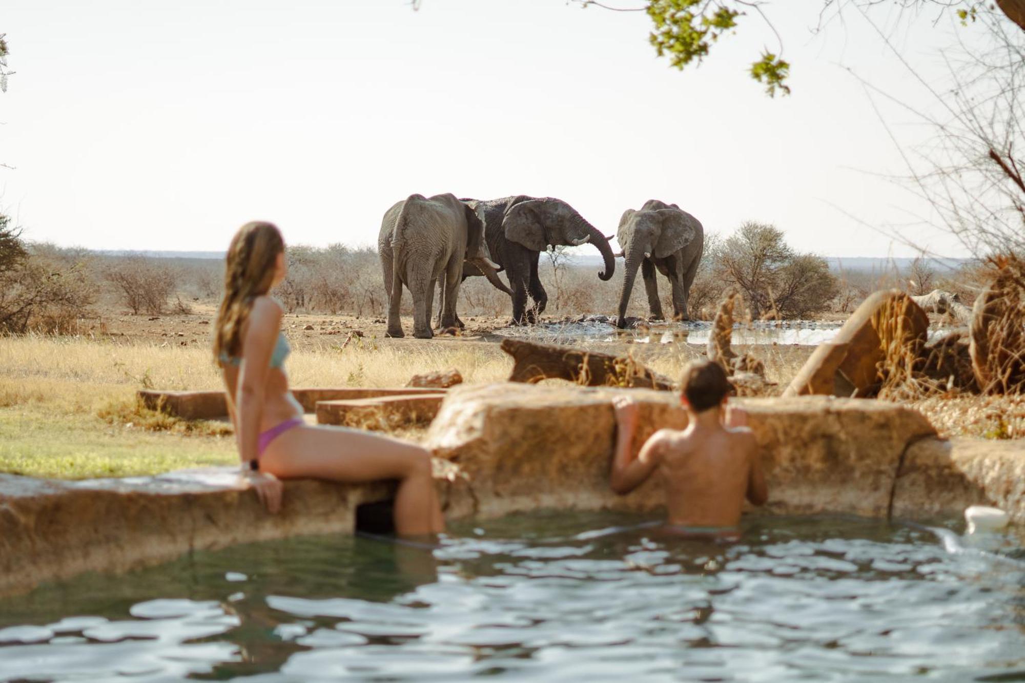 Last Word Madikwe Madikwe Game Reserve Zewnętrze zdjęcie